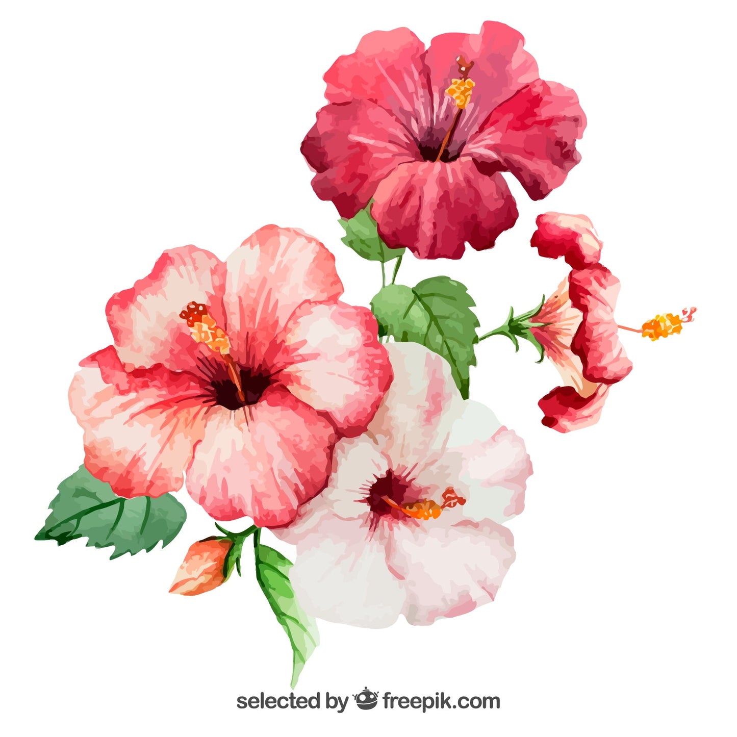 Organski čvrsti sapun - Patchouli i Hibiscus cvijet 90g