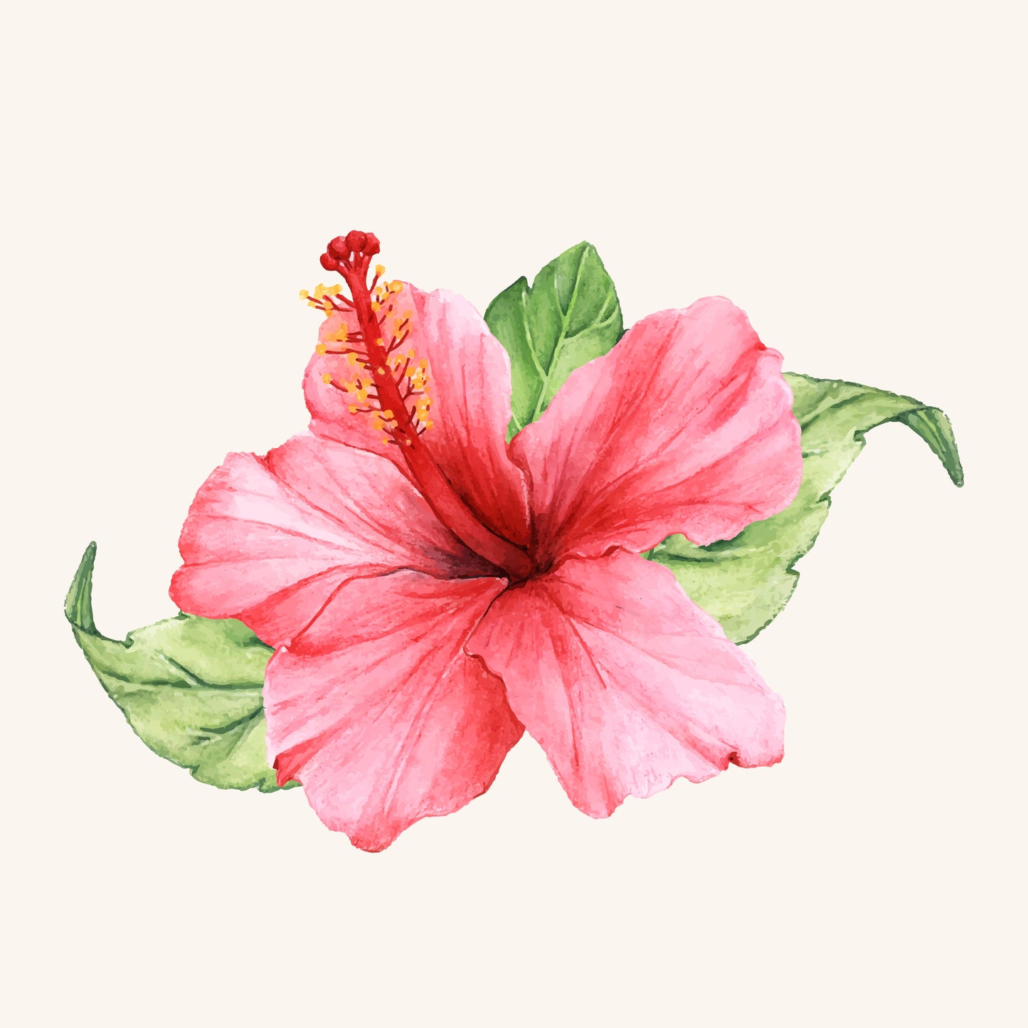 Organski čvrsti sapun - Patchouli i Hibiscus cvijet 90g