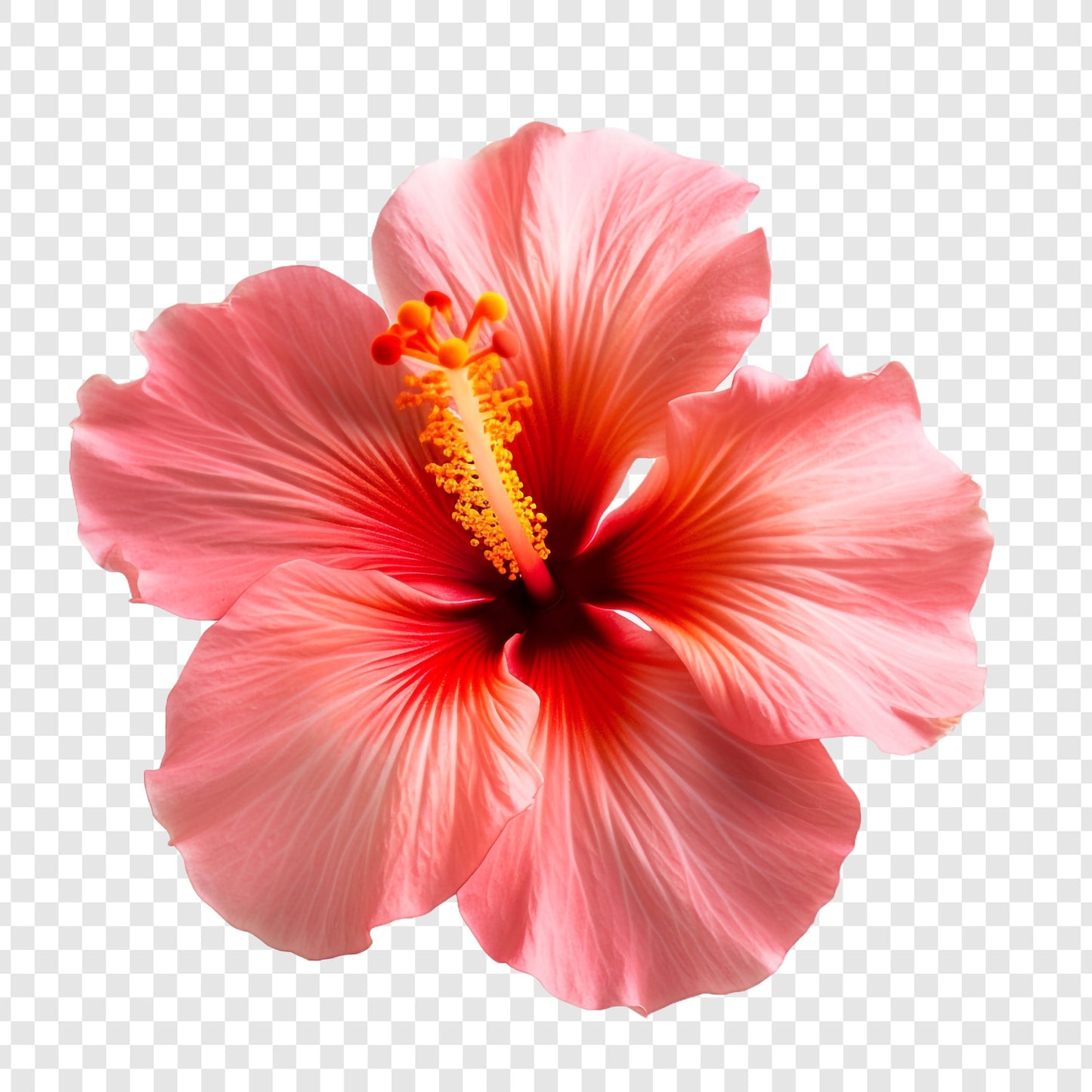 Organski čvrsti sapun - Patchouli i Hibiscus cvijet 90g