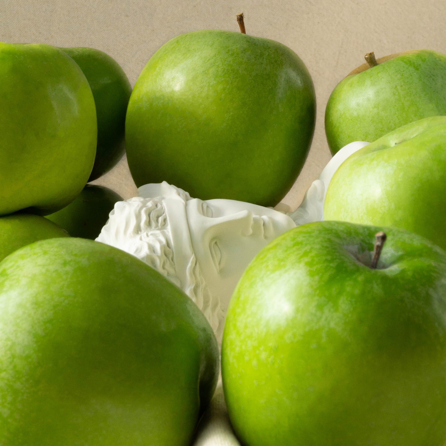 OSVJEŽAVAJUĆA MAGLICA - Apple revitalization pluri-actives