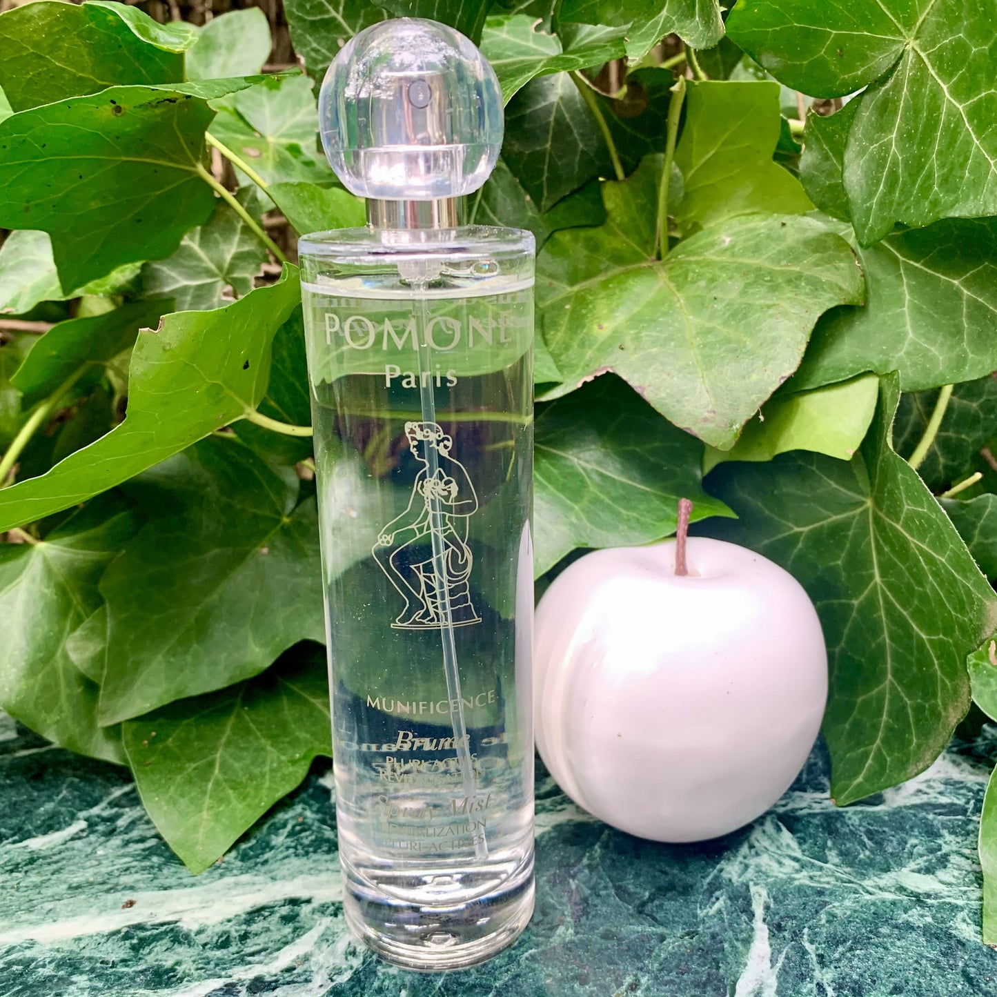 OSVJEŽAVAJUĆA MAGLICA - Apple revitalization pluri-actives